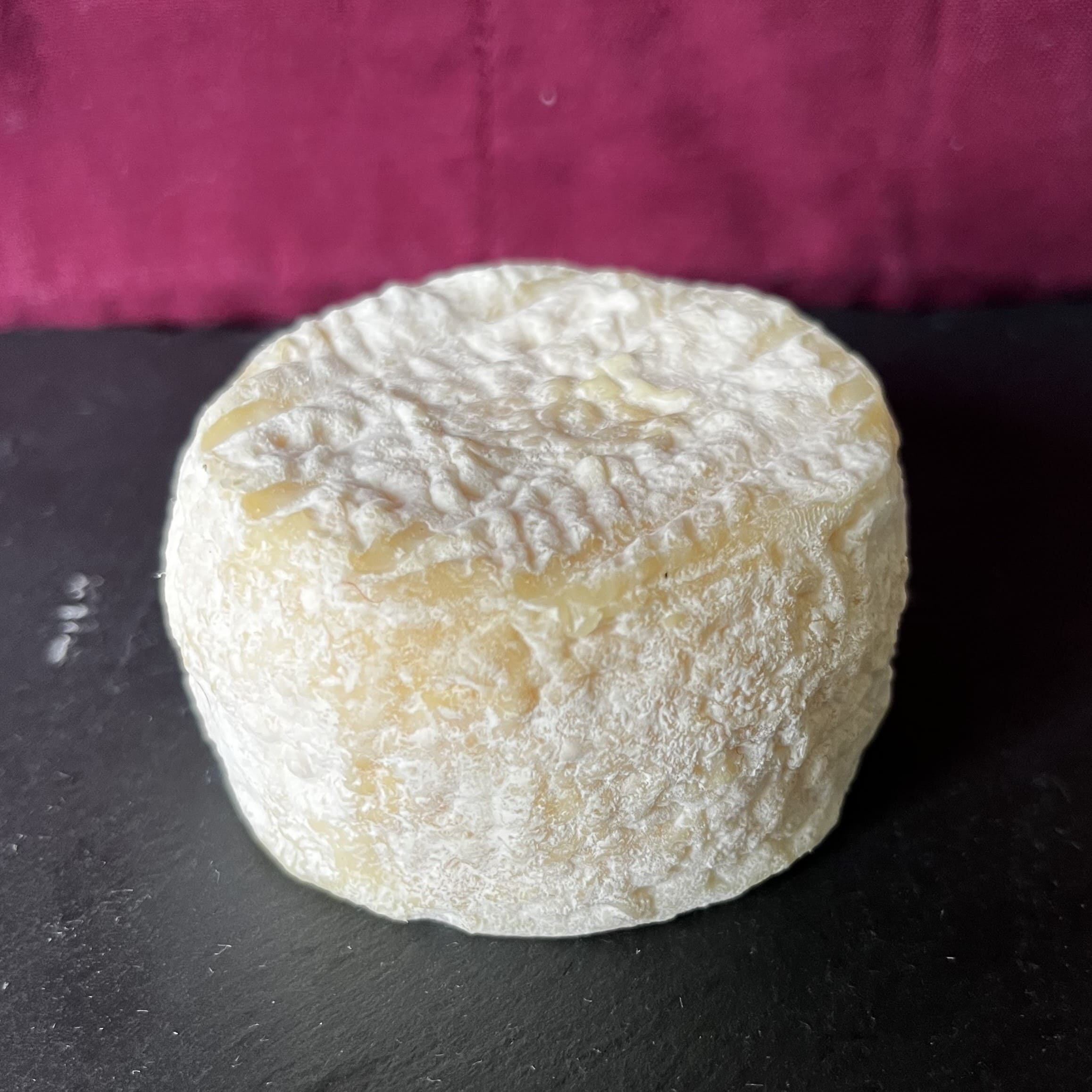 Crottin de chèvre